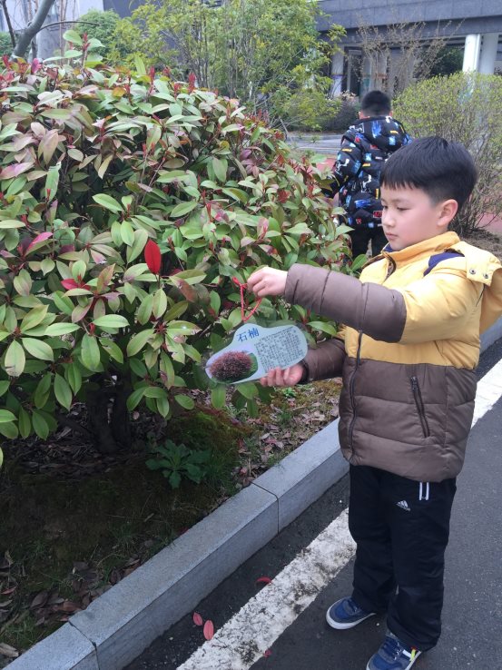 F:\三年级\三年级下学期\三下活动照片及报道\3月19日我给小树挂牌\IMG_0434.JPG