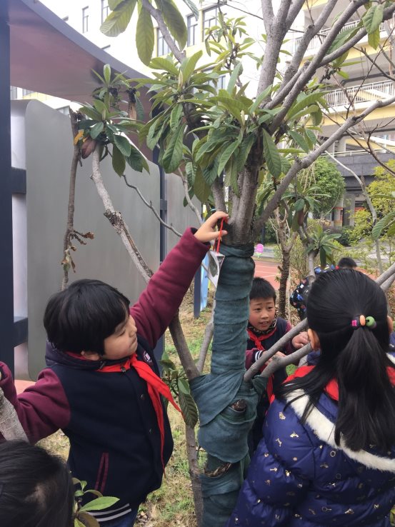 F:\三年级\三年级下学期\三下活动照片及报道\3月19日我给小树挂牌\IMG_0437.JPG