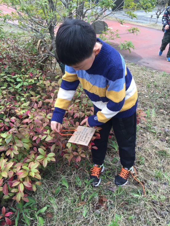 F:\三年级\三年级下学期\三下活动照片及报道\3月19日我给小树挂牌\IMG_0445.JPG