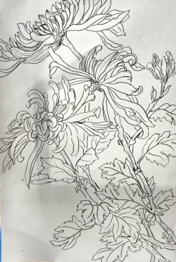 微信图片_20251104152059_276_3