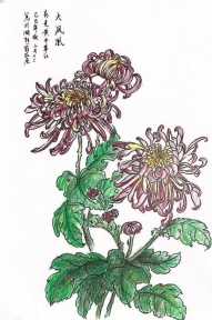 微信图片_20251106142645_46_163