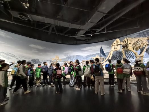 QQ图片20251204095914